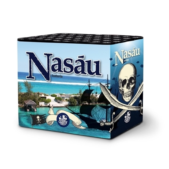 Foto de BATERIA NASAU