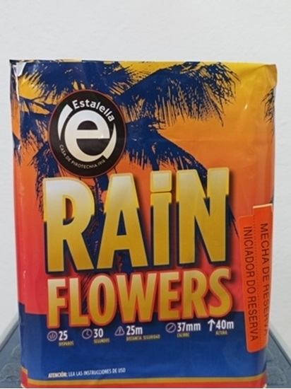 Foto de BATERIA RAIN FLOWER